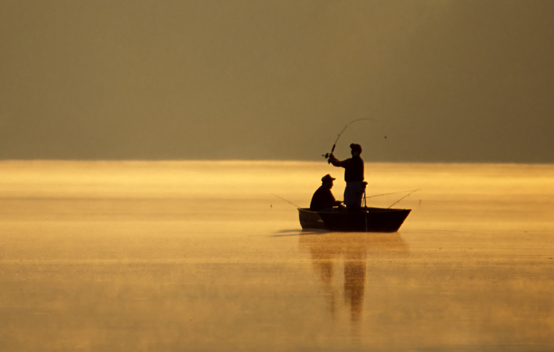 People fishing in a serene environment